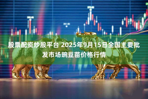 股票配资炒股平台 2025年9月15日全国主要批发市场豌豆苗价格行情