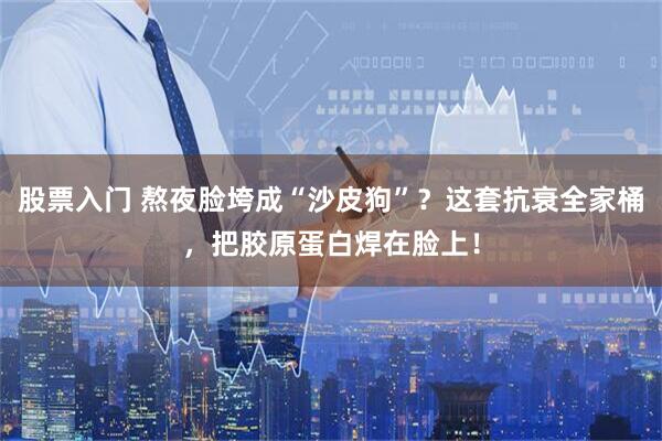 股票入门 熬夜脸垮成“沙皮狗”？这套抗衰全家桶，把胶原蛋白焊在脸上！